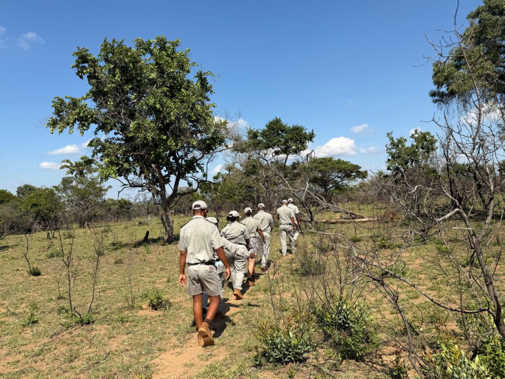 Kigfisher News Mailer Feb